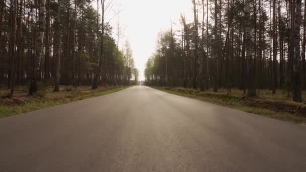 βόλτα στον ασφαλτοστρωμένο δρόμο σε ένα δάσος άνοιξη - Πλάνα, βίντεο