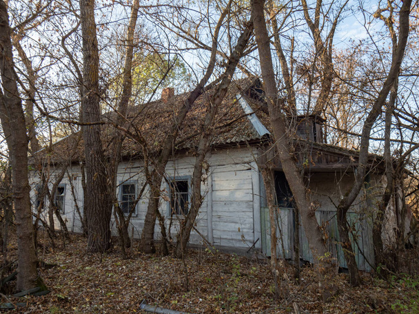 Régi faház Kranse, kis falu található elhagyott Csernobil Zóna, Ukrajna - Fotó, kép