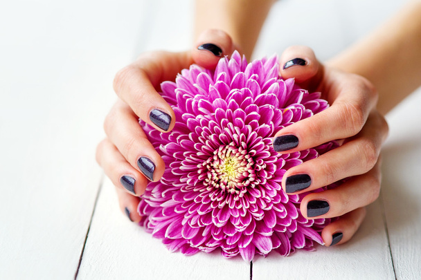 Hands with manicure and pink flower - Photo, image