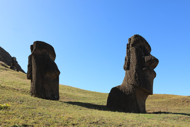 Easter Island Moai Statue - Photo, Image