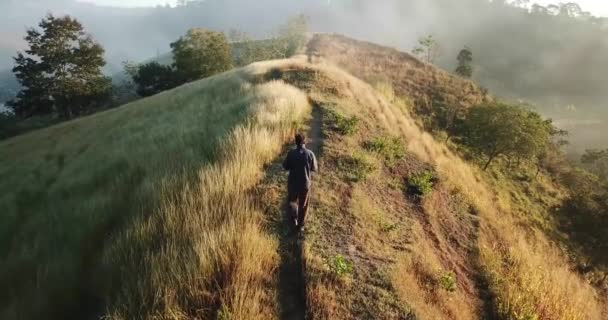 jovem homem andando em uma bela colina de grama amarela no início da manhã .nevoeiro paisagem drone imagens
 - Filmagem, Vídeo