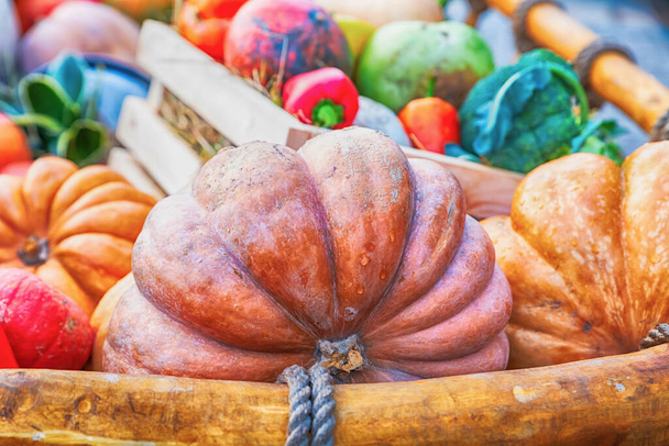 otoño verduras base de diseño grande y pequeña calabaza naranja sobre un fondo de pimienta y col
 - Foto, imagen