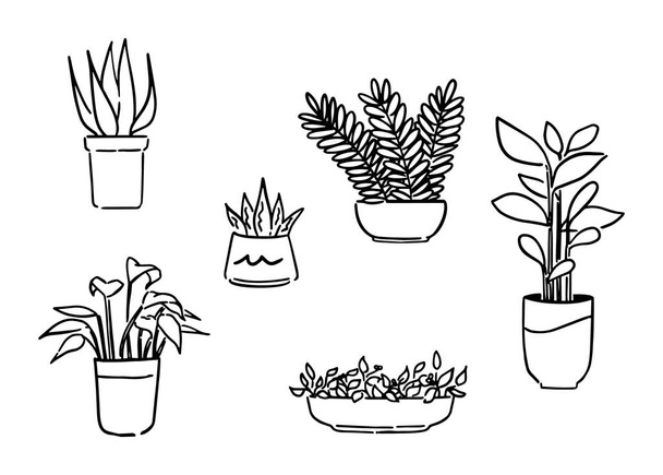 Süslü bitkiler, oturma odası iç tasarım konsepti, karalama taslağı ikonu. el çizimi biçim vektör çizimi. - Vektör, Görsel