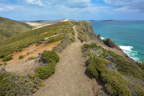 崖の端に沿って歩く,ニュージーランド - 写真・画像