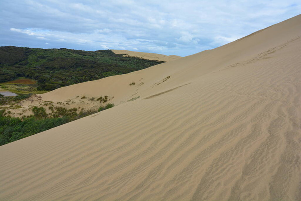 Fes on the edge of Giant Sand Dunes, New Zealand - Фото, зображення