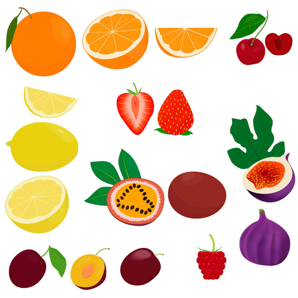 Conjunto de iconos de vector de fruta. Incluye cítricos, bayas, ciruela, maracuyá. alimentos ingredientes vector ilustración aislado sobre fondo blanco
 - Vector, Imagen