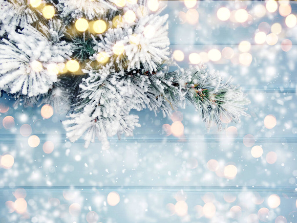 invierno Navidad fondo con ramas de abeto conos y nieve en textura de madera azul                               - Foto, imagen
