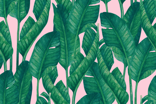 Verse groene bananenbladeren op roze achtergrond. Tropisch groen naadloos patroon. Met de hand geschilderde zomer illustratie. Floral sketch voor trendy fashion design. Botanisch concept - Foto, afbeelding