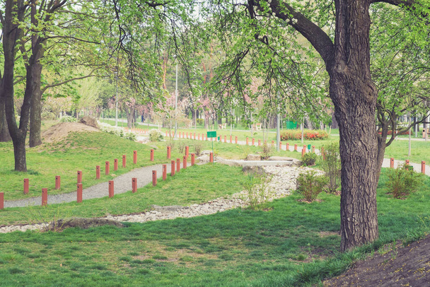 Green city park. Spring morning at park - Foto, Imagem