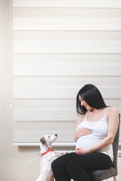 Beautiful pregnant woman with cute dog at home. Picture with copy space - Фото, зображення