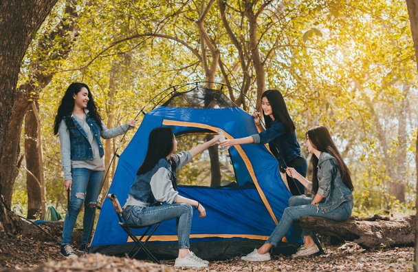 Groupe de jeunes femmes asiatiques aidant à construire une tente pour le repos au camping forestier vacances le week-end
. - Photo, image