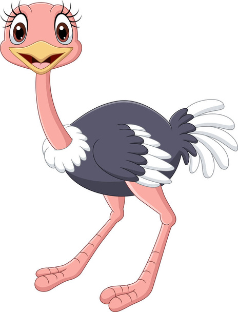 Vector illustration of Cartoon baby ostrich isolated on white background - Vector, Image