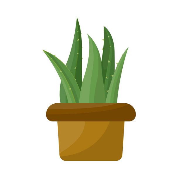 Isolated object of aloe and pot sign. Graphic of aloe and cactus stock symbol for web. - Vektör, Görsel