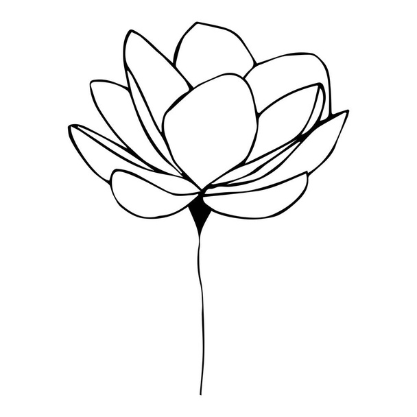 A collection of illustrations for drawing a lotus. For the design of drawings, logos, templates, banners, posters, invitations, and greeting cards.Black outline in Doodle style on an isolated white - Vector, Image