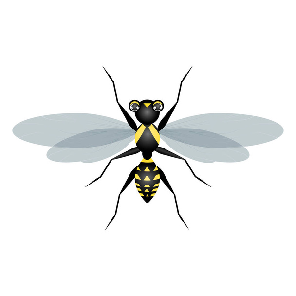Σχεδίαση χρώματος διανύσματος εντόμων σφήκας - Διάνυσμα, εικόνα