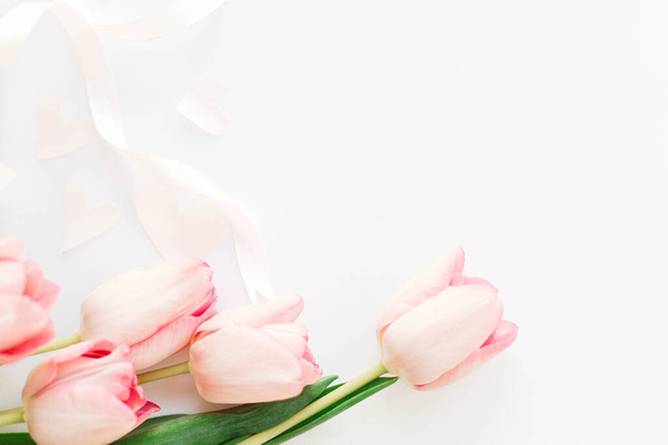 Różowe tulipany z wstążką na białym tle. Stylowy, delikatny wizerunek. Szczęśliwego Dnia Kobiet. Karta okolicznościowa z miejscem na tekst. Szczęśliwego Dnia Matki. Uroczystości ślubne lub walentynkowe - Zdjęcie, obraz