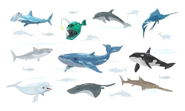 Wektorowy zestaw delfinów, żabnicowatych, włócznika, wieloryba, rekina, piły, bieługi, torpedy atlantyckie, młot. - Wektor, obraz