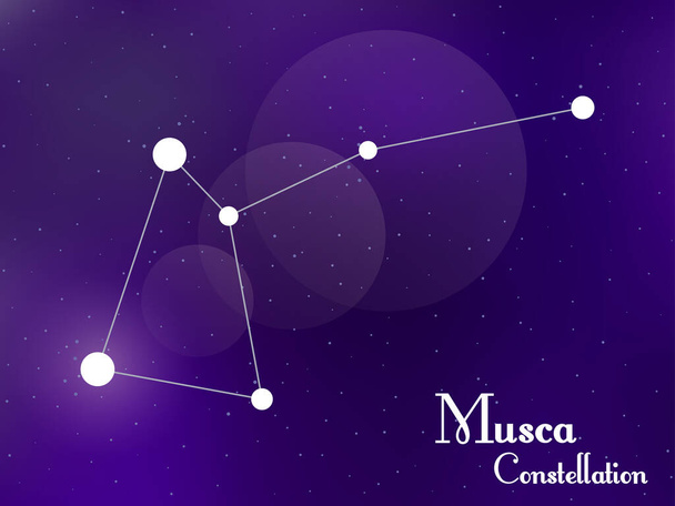 Ο αστερισμός της Μούσκα. Έναστρος νυχτερινός ουρανός. Σμήνος αστεριών, γαλαξίας. Βαθύ διάστημα. Εικονογράφηση διανύσματος - Διάνυσμα, εικόνα
