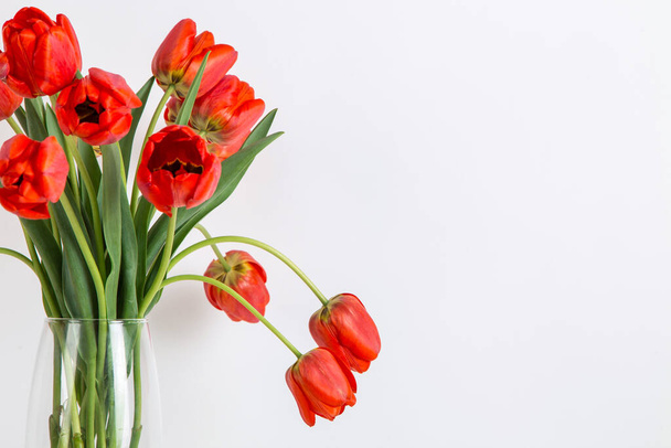 Red tulips in a vase on the table, on white background. Postcard blank. - Fotó, kép