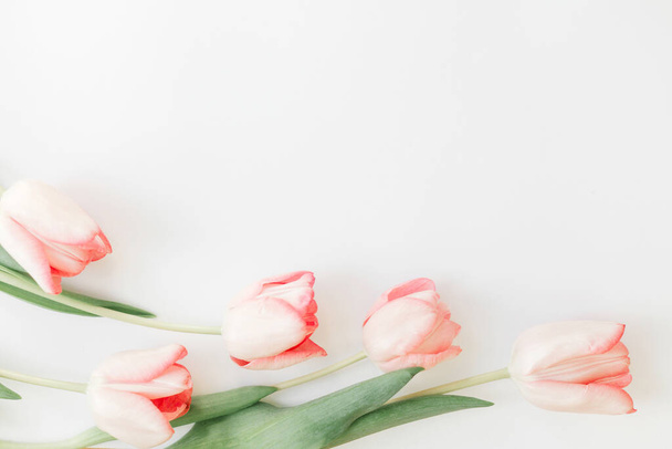 Tulipanes rosados borde plano yacen sobre fondo blanco, espacio para el texto. Elegante imagen de primavera suave. Tarjeta de felicitación floral maqueta. Creativa foto mínima. Feliz día de las mujeres. Feliz Día de las Madres
. - Foto, Imagen