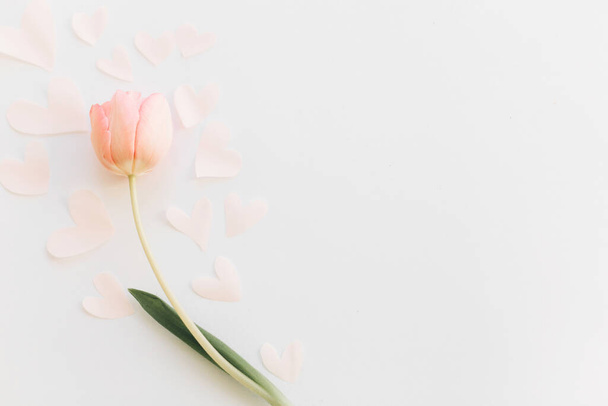 Hello spring. Pink tulip with soft hearts flat lay on white background, space for text. Stylish spring image. Happy womens day. Floral Greeting card mockup. Happy Mothers day. Valentines day - Photo, Image