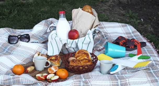 Spend time with children on a spring picnic on the grass. Food basket with long loaf, milk and homemade cakes on a plaid. Launch an airplane. - Foto, Imagem