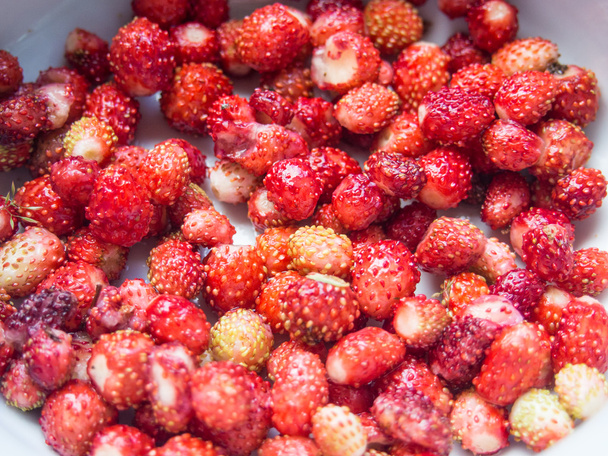 Woodland strawberry - Photo, Image