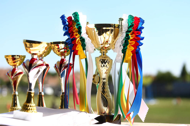 Grupo de trofeos hípicos de equitación trofeos en evento hípico de equitación en verano al aire libre
 - Foto, Imagen