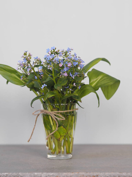Bloemen achtergrond. Voorjaar teder blauw vergeet-me-niet bloemen in een glas op een grijze houten tafel. - Foto, afbeelding