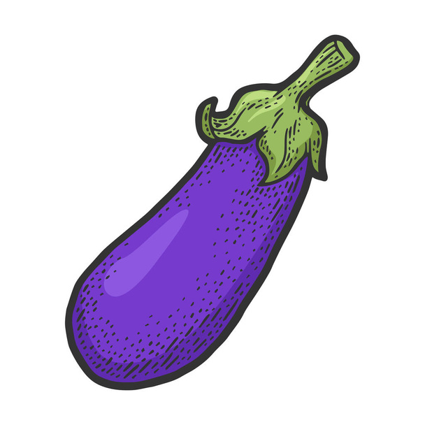 Fresh eggplant vegetable color sketch engraving vector illustration. T-shirt apparel print design. Scratch board imitation. Black and white hand drawn image. - Vecteur, image