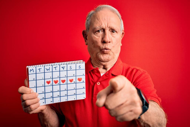 Hombre de pelo gris mayor sosteniendo calendario de fecha especial sobre fondo rojo señalando con el dedo a la cámara y a usted, signo de mano, gesto positivo y seguro de la parte delantera
 - Foto, imagen