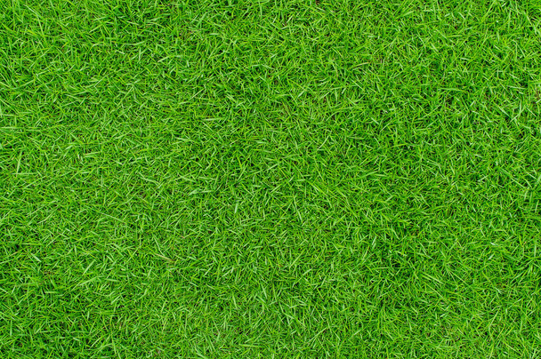 Fondo de textura de hierba verde, Vista superior del jardín de hierba Concepto ideal utilizado para hacer pisos verdes, césped para el entrenamiento de campo de fútbol, Campo de golf de hierba Patrón de césped verde fondo texturizado. - Foto, imagen