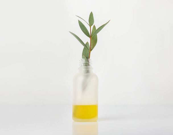 Fles met etherische olie van eucalyptus op witte ondergrond - Foto, afbeelding