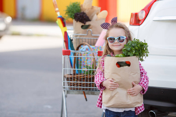 Adorable baby kid with trolley choosing fresh vegetables in local store. Girl with a big grocery cart in a parking lot near a store. A little girl with a big trolley buys fresh food and vegetables in a big supermarket.Little housewife with groceries - Foto, Bild