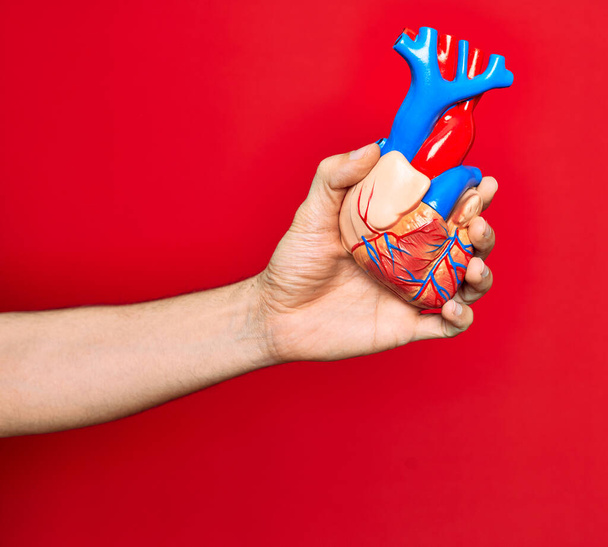 Bela mão de homem segurando coração artificial sobre fundo vermelho isolado
 - Foto, Imagem