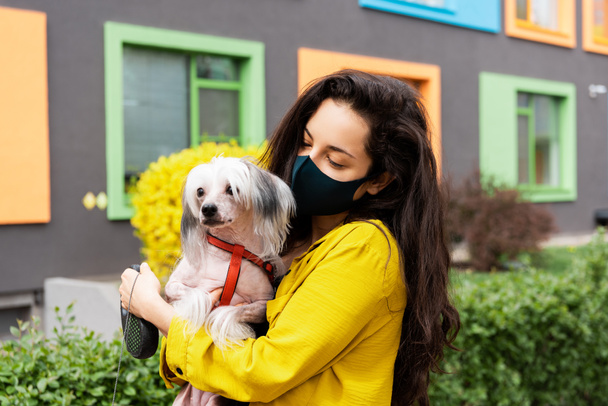 市内の犬と歩く黒い医療用マスクの美しい女性 - 写真・画像