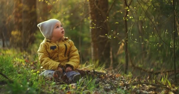 Ragazzo all'aperto sta giocando e gioisce con foglie autunnali. Un bambino di 2-3 anni è seduto in un parco alla luce del sole. Bambino gettando fogliame colorato autunno in aria nel parco
. - Filmati, video