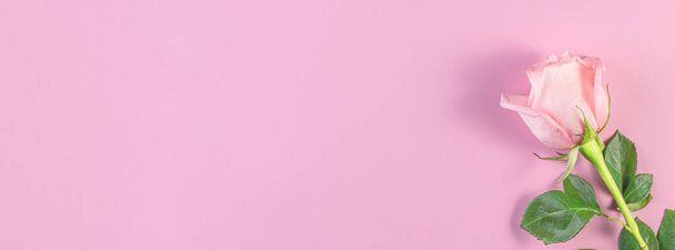 Rosas rosadas sobre fondo rosa pastel. Cumpleaños, Madre, San Valentín, Mujeres, concepto del día de la boda. Temporada de flores de primavera. Composición Vacacional Mínima. Copiar espacio
 - Foto, imagen