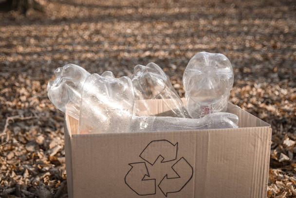 Genç gönüllüler ahşap alanı temizliyor. Kamu parkında plastik şişe bulunduruyorlar. İnsanlar ve ekoloji Geri dönüşüm için doğada plastik çöp toplama. - Fotoğraf, Görsel
