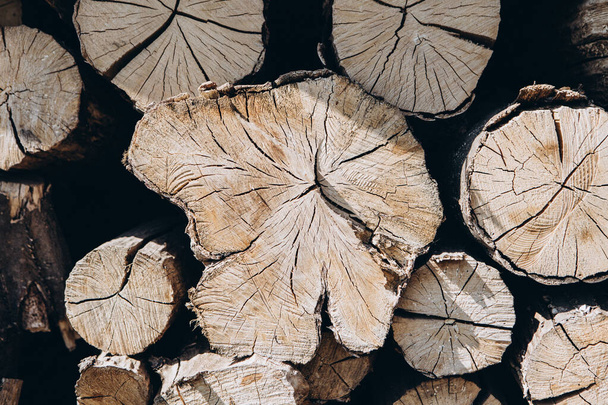 Фон дров текстурированная картина природного топлива. Куча дров
.  - Фото, изображение