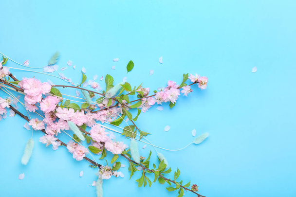 Beautiful blossoming branches on color background - Fotoğraf, Görsel