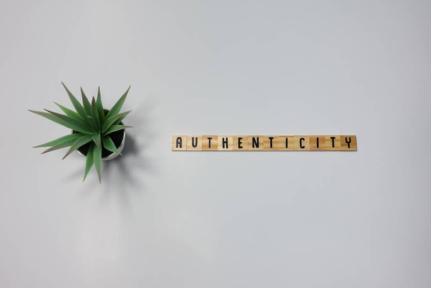 Het woord Authenticity geschreven in houten lettertegels op een witte achtergrond. Conceptbeveiliging, identificatie en technologie. - Foto, afbeelding