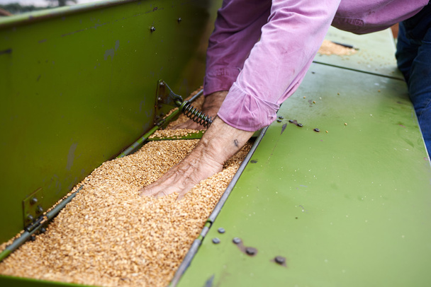 loading seeding machine with wheat seeds and fertilizer - Valokuva, kuva