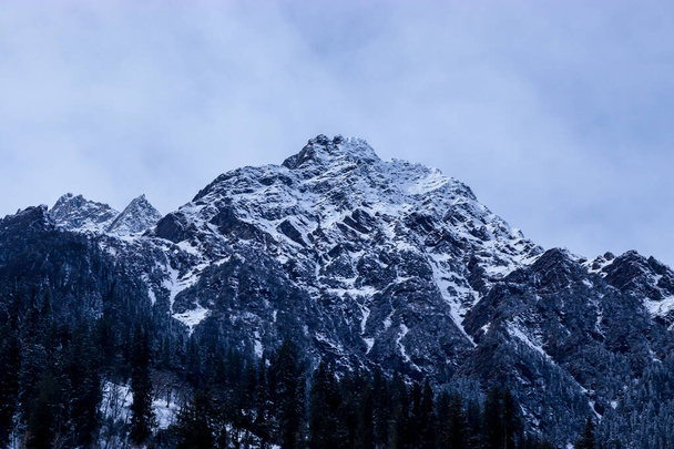zasněžená hora s borovicemi na úpatí hory - Fotografie, Obrázek