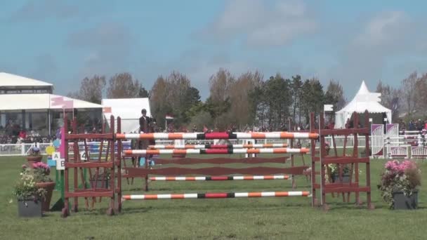 Show jumping - Footage, Video