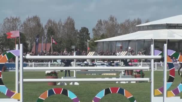 Show jumping - Footage, Video