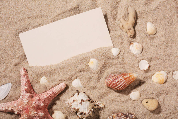 Tarjeta blanca vacía con estrellas de mar está tumbado en un mar de arena de verano fondo soleado. Lugar para el texto. Un lugar para saludar
. - Foto, imagen