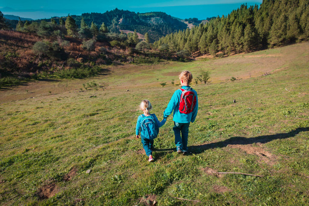 boy and girl travel in nature, kids hiking in mountains - Photo, Image