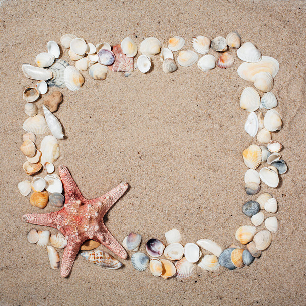 Frame made of seashells located on background of sand. Place for text. Top view. - Photo, image