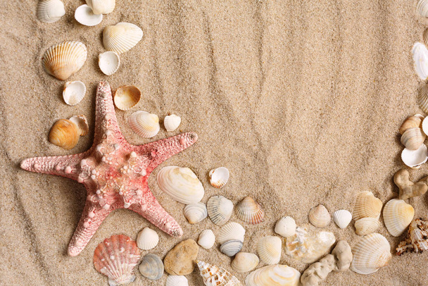 Hermosas conchas marinas en arena con espacio para el producto o texto promocional. Vista superior
. - Foto, imagen